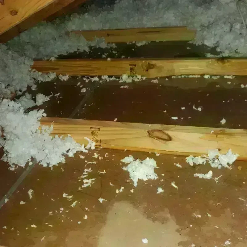 Attic Water Damage in Leesburg, AL