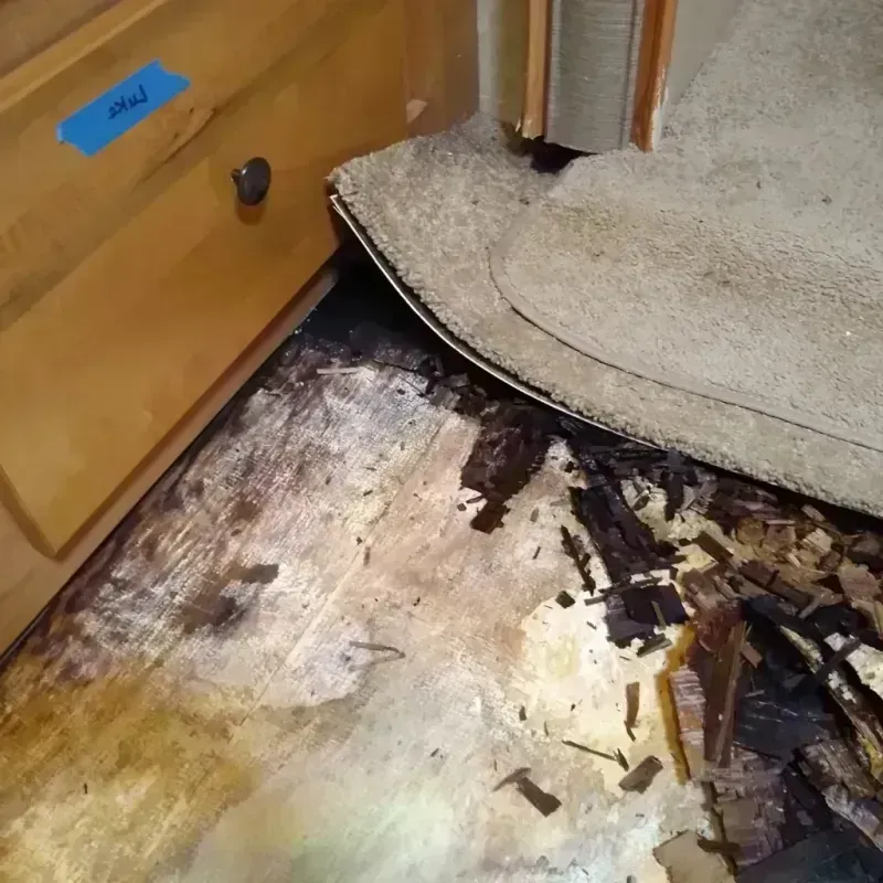 Wood Floor Water Damage in Leesburg, AL